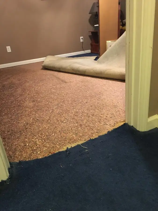 Carpet pad removal revealing water damage during Drying & Dehumidification in Rainbow Springs