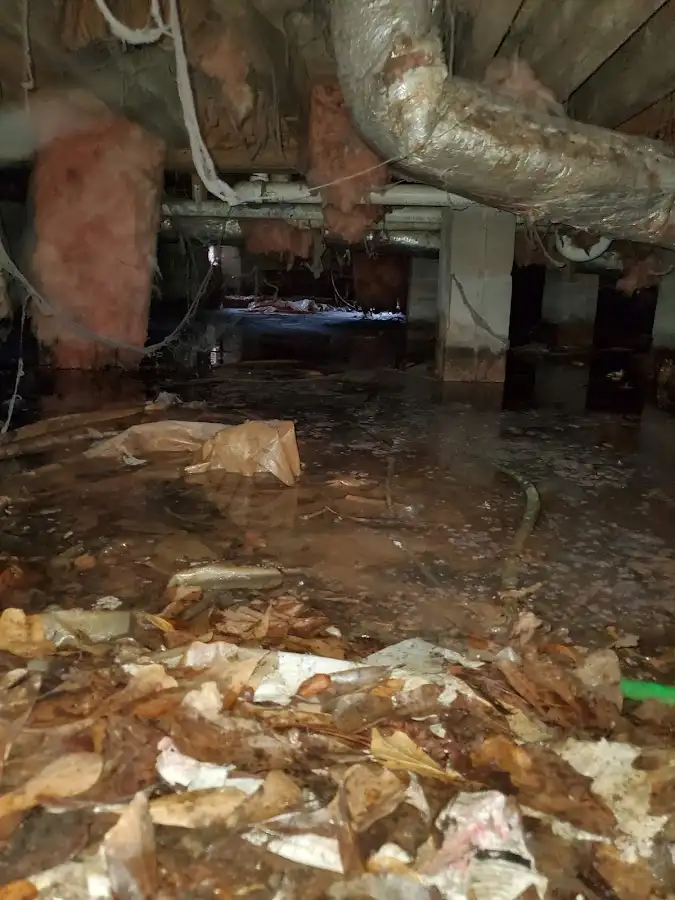 Crawl space flood assessment for Leak Detection & Repair in Rainbow Springs