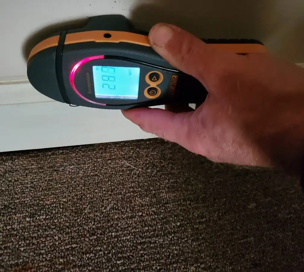 Moisture detection at baseboard during Burst Pipe Cleanup in Rainbow Springs