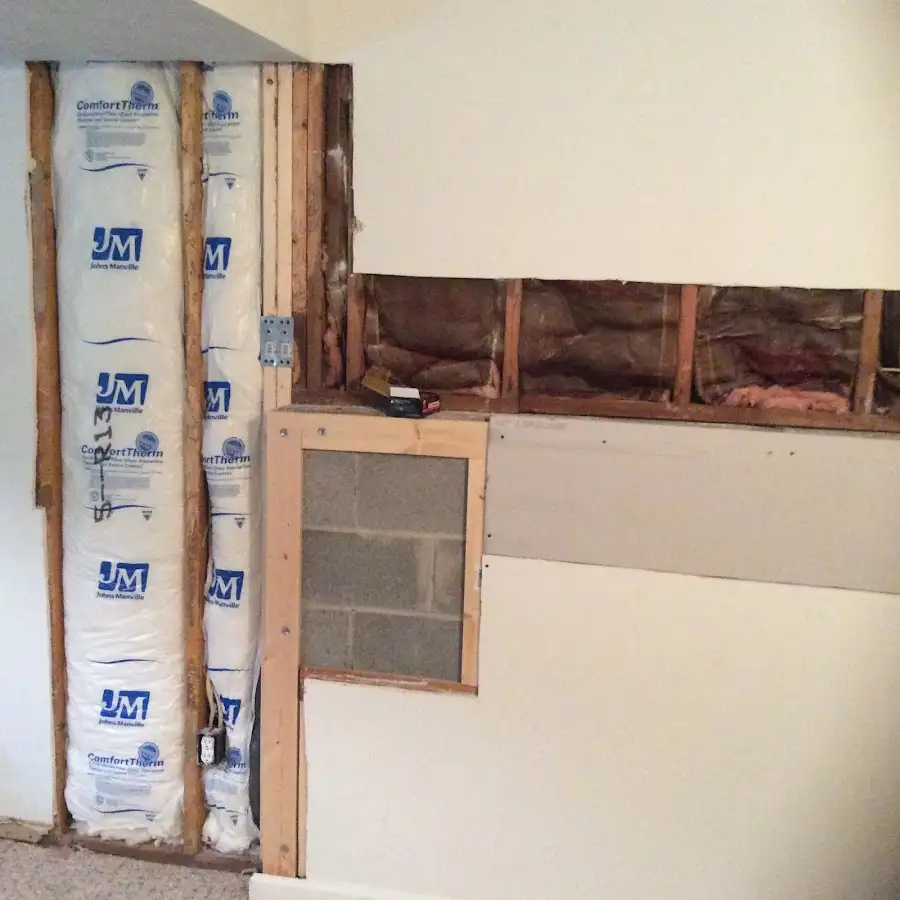 Wall insulation replacement during Odor Removal & Deodorization in Rainbow Springs